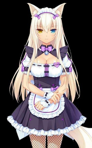 Whatever Happened to Anime Catgirls?