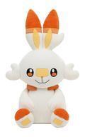 Pokemon Center releases 