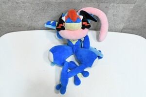 Lanzamientos de Pokémon Center t8A147 2015 Pokemon center 