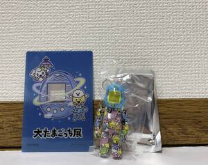 BE@RBRICK 51 BERBRICK 100 51