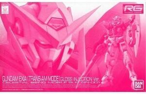 Premium Bandai 1144 RG GN-001 () Ver.