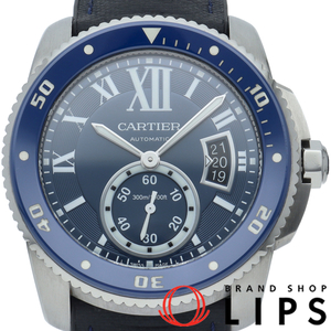 Watches WSCA0010 SS