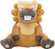 Exclusive Pokémon Center Plushies Pokemon fit