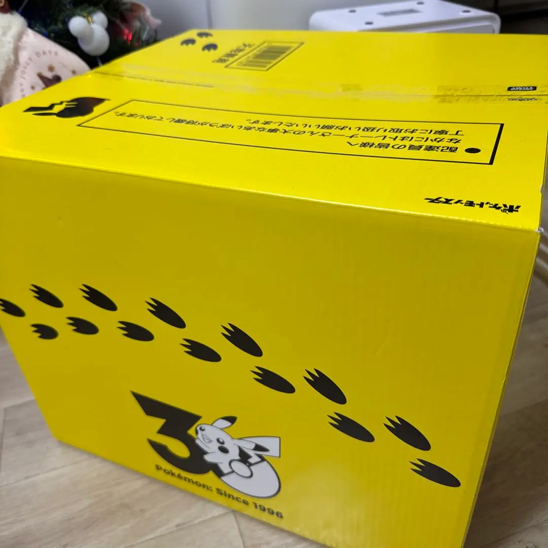 ポケモン30周年記念 おかえり!ピカチュウ1/1 専用BOX タカラトミー限定