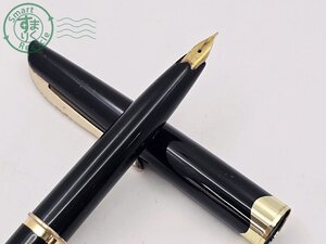 Plumas estilográficas japonesas CH1100347 PLATINUM 18K
