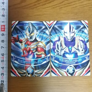 Premium Bandai 