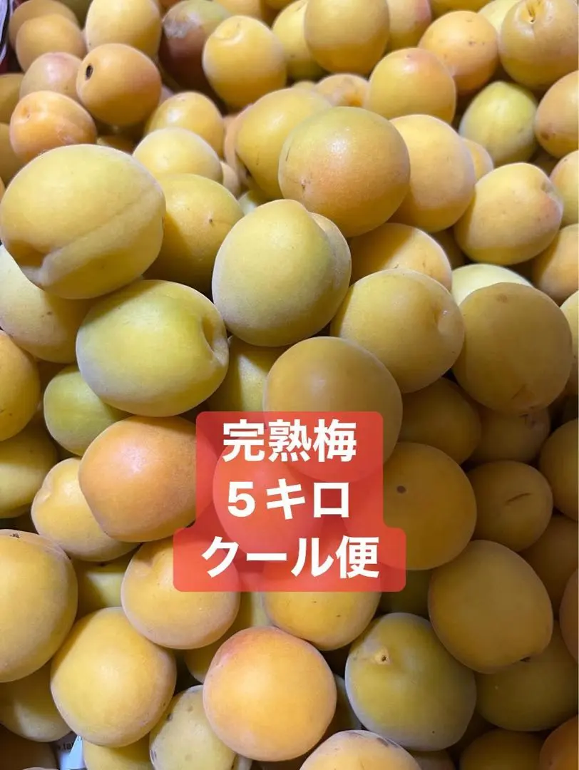 完熟梅