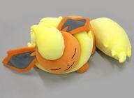 Exclusive Pokémon Center Plushies 