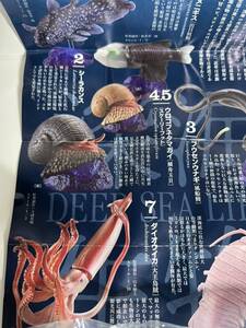 Figuras de colección  DEEP SEA LIFE 