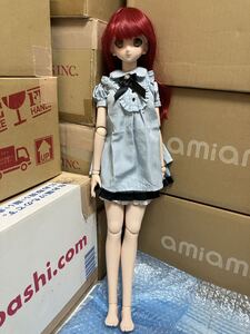 Hatsune Miku Dollfie Dream de segunda mano DDDy