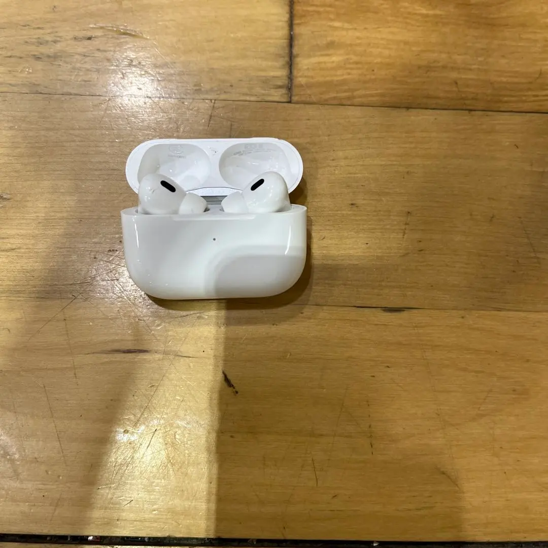 Apple AirPods Pro 本体