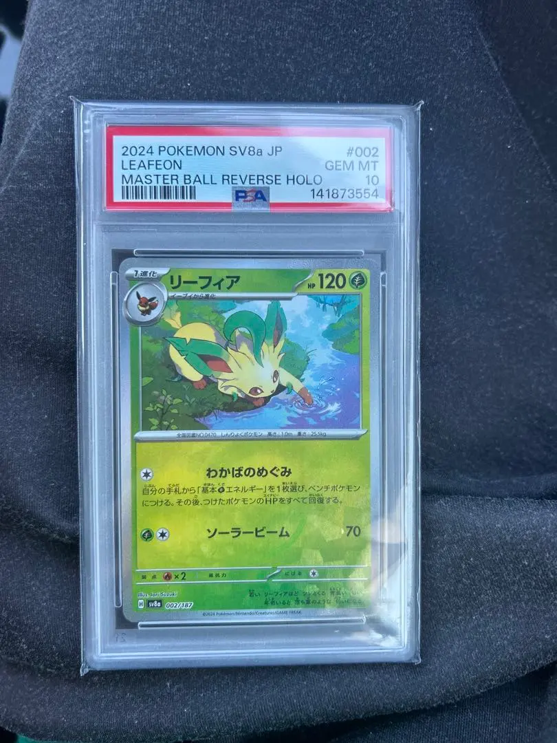 リーフィア スカーレット&バイオレット ハイクラスパック テラスタルフェスex…