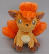 Exclusive Pokémon Center Plushies Pokemon fit