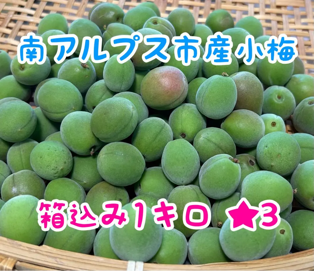 南アルプス市産　小梅★3 箱込み1キロ