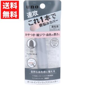 Japanese Skincare Products UNO 2.2g