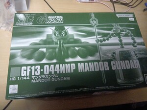 Premium Bandai HG G