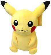 Exclusive Pokémon Center Plushies 40