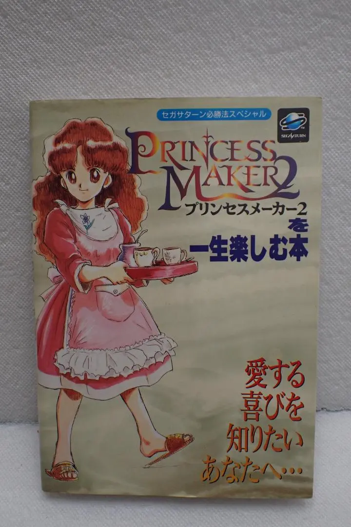ケイブンシャ セガサターン プリンセルメーカー2を一生楽しむ本 P3-A