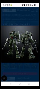 Gundam Gunpla kits grades MG1100