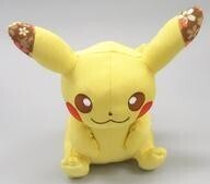 Lanzamientos de Pokémon Center 2