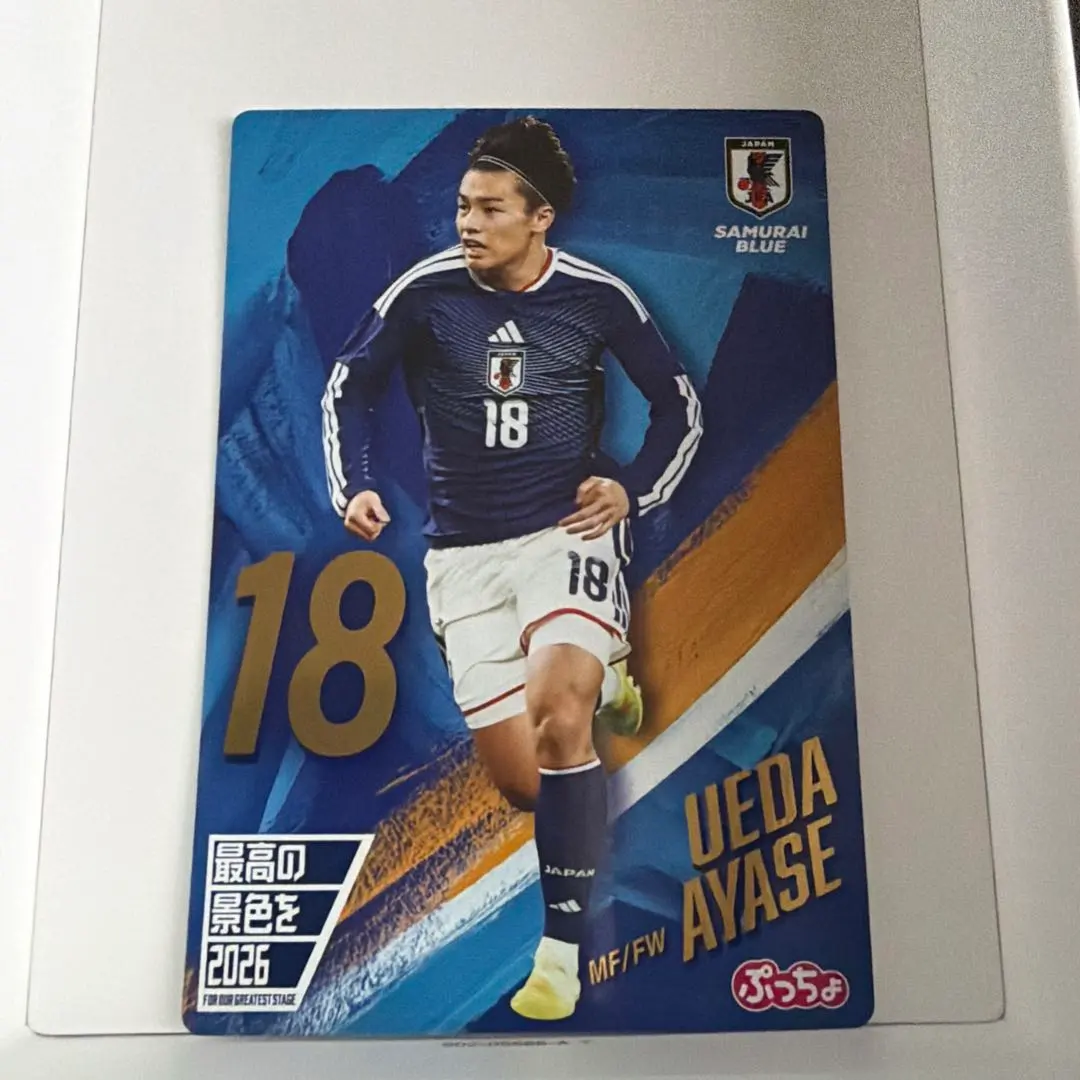 ぷっちょ付録日本代表カード
