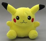 Exclusive Pokémon Center Plushies () 12cm
