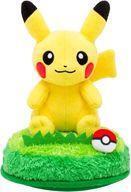 Pokemon Center releases ()