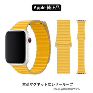 Watches Apple Watch 44mm45mm46mmL