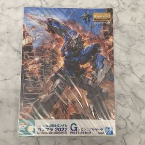 Gundam Gunpla kits grades 2022 G