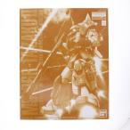 Premium Bandai PTM MG 1100 MS-06R-1A II MSV (20170831)