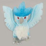 Lanzamientos de Pokémon Center  Pokemon fit 