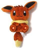 Exclusive Pokémon Center Plushies IN