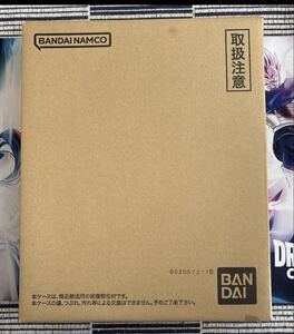 Premium Bandai 9 40th 40 6