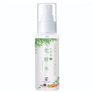 Japanese Skincare Products 