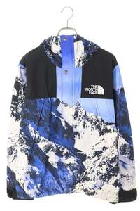 Supreme :S 17AW The North Face Mountain Parka OM10