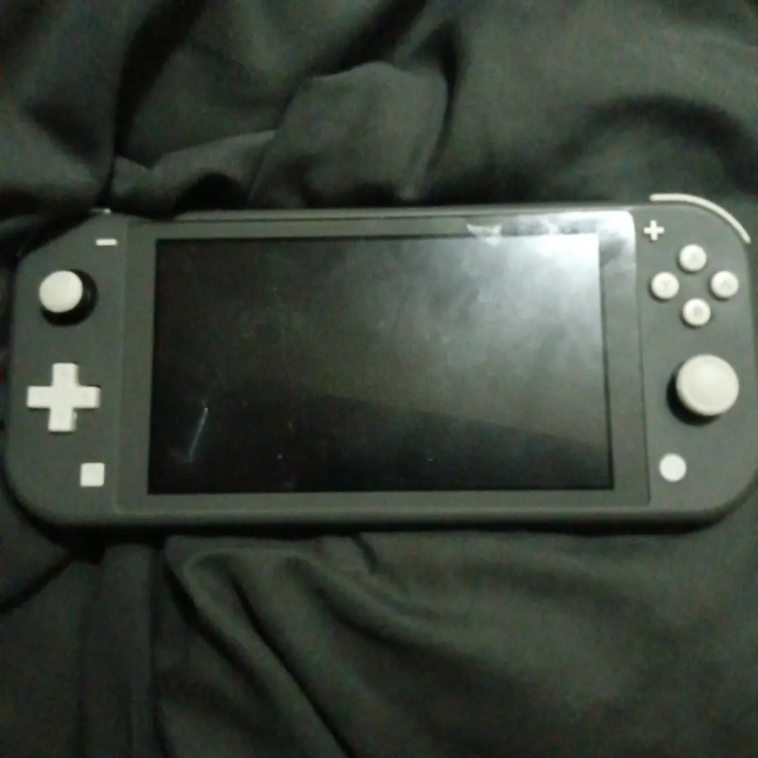 Nintendo Switch Lite グレー 本体