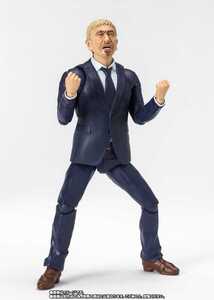 Premium Bandai S.H.Figuarts