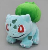 Lanzamientos de Pokémon Center Pokemon fit