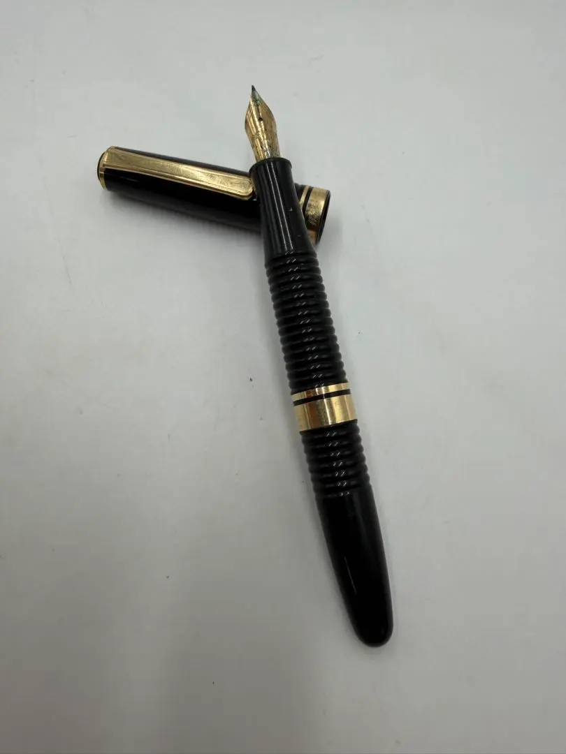 PLATINUM プラチナ万年筆 ♯3776 ギャザード 14K 585 中字
