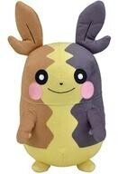 Pokemon Center releases 