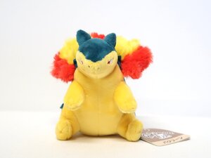 Exclusive Pokémon Center Plushies Pokemon fit