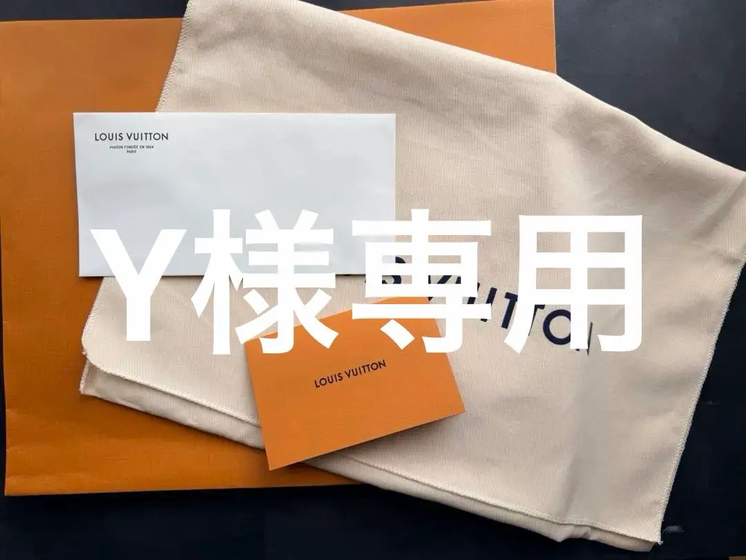 LOUIS VUITTONショッパー　保管袋　封筒等セット