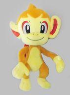 Exclusive Pokémon Center Plushies 