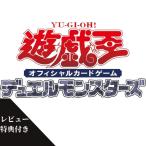 Yu-Gi-Oh! cards 1031 BOX OCG IMMORTAL PHOENIX BOX
