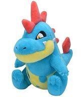 Exclusive Pokémon Center Plushies Pokemon fit