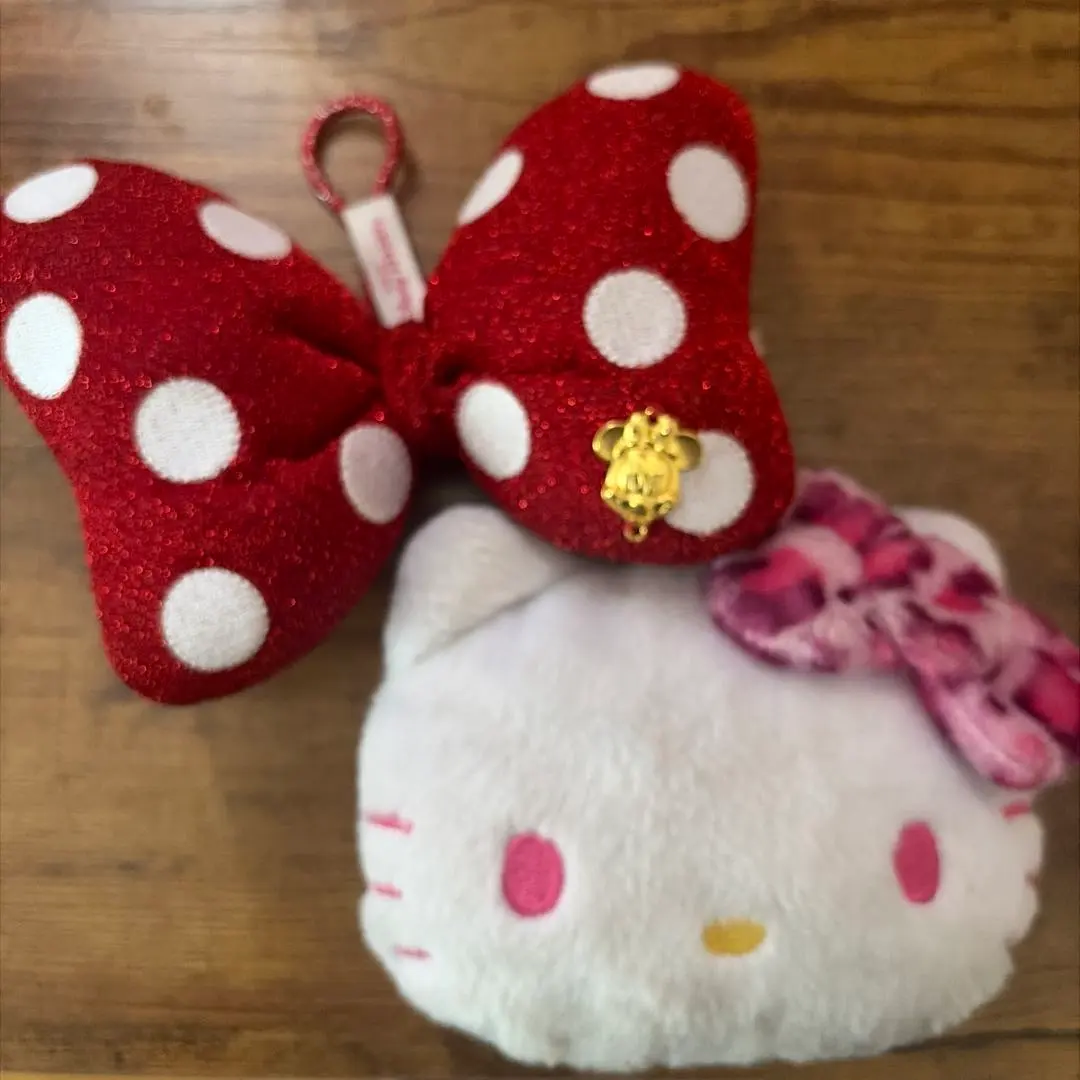 Hello Kitty パスケース ぬいぐるみ ポーチ