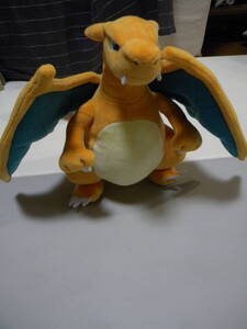 Pokemon Center releases 