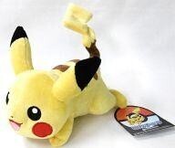 Pokemon Center releases 