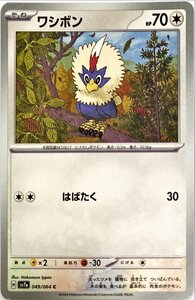 Cartas Pokémon  049064 