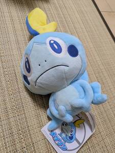 Pokemon Center releases 